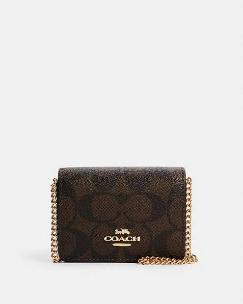 Coach wallet on a chain