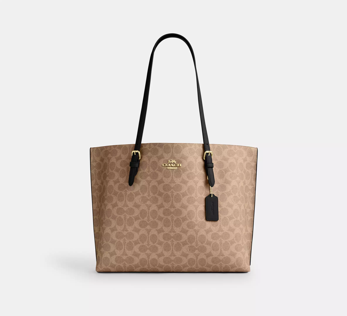 The Mollie Tote Bag