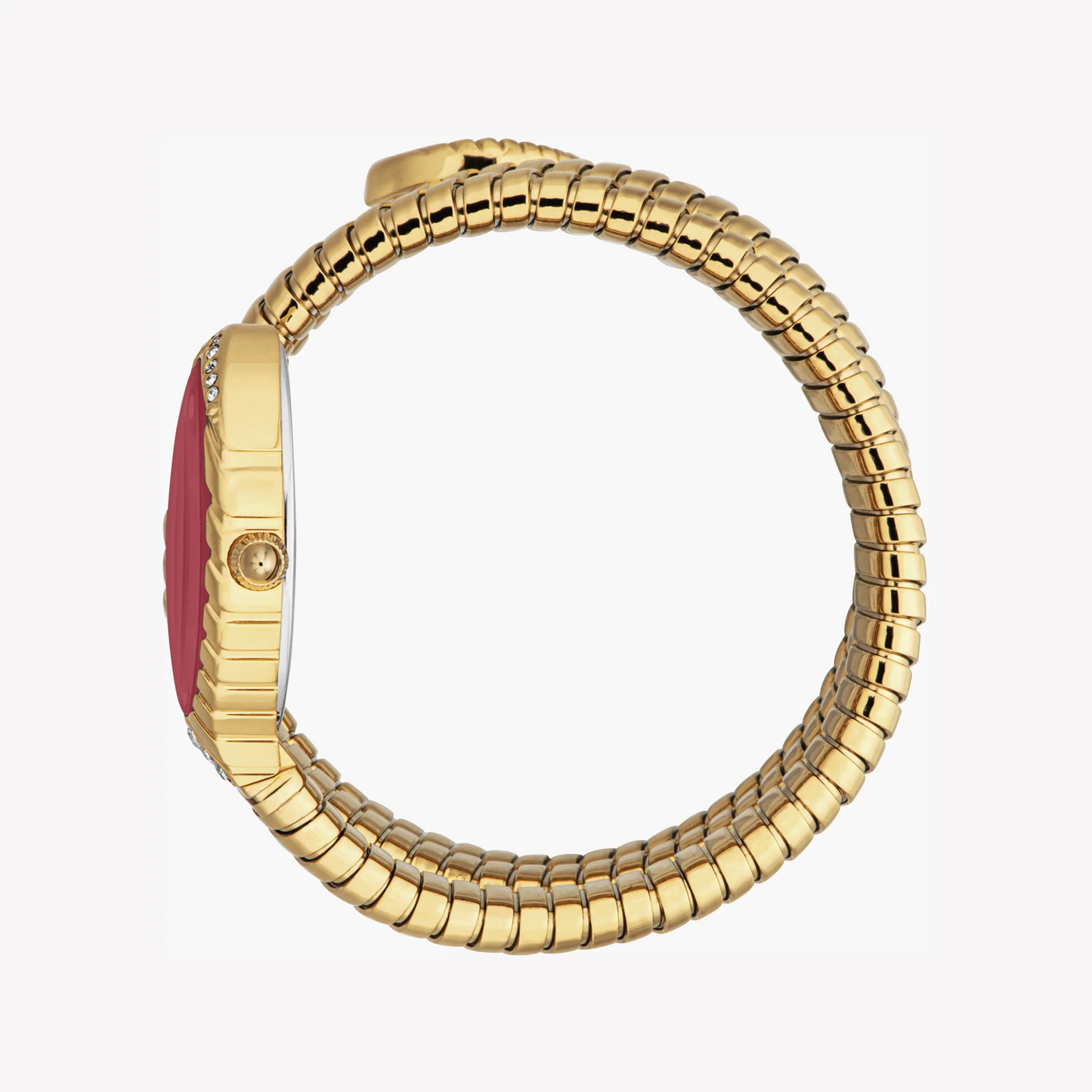 Women's Snake Gold Watch Red Dial